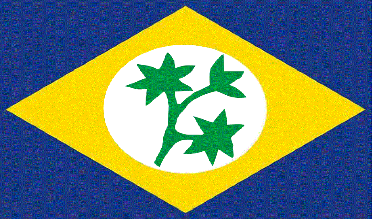 Feira Nova